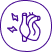 Dau tim Icon 1