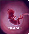 Thai nhi